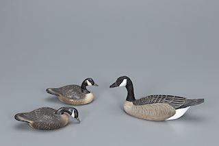 Three Miniature Canada Geese