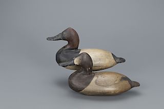 Exceptional Pair of Canvasback Decoys, William Heverin (1860-1951)