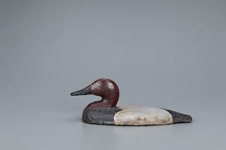 Iron Wing-Duck Canvasback Decoy