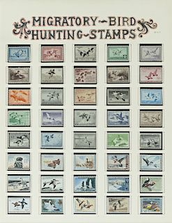 Framed Duck Stamps