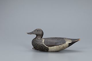 Rare and Important Ohio Gadwall Decoy