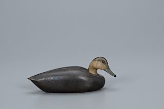 Rare Miniature Black Duck, Charles E. "Shang" Wheeler (1872-1949)