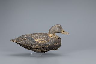 Black Duck Decoy, Ira D. Hudson (1873-1949)