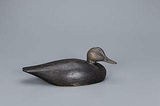 Hoover Rig Black Duck Decoy, A. Elmer Crowell (1862-1952)