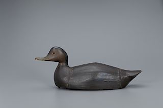 Black Duck Decoy, George H. Boyd (1873-1941)