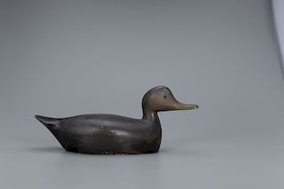 Black Duck Decoy, George H. Boyd (1873-1941)
