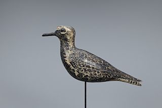 Early Hollow Black-Bellied Plover Decoy, A. Elmer Crowell (1862-1952)