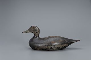 Oversize Black Duck Decoy, Joseph W. Lincoln (1859-1938)