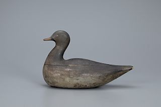 High-Head Long-Tailed Duck Decoy