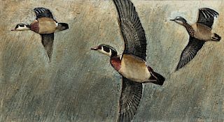 Wood Ducks Plaque, DeCourcey Taylor (b. 1930)