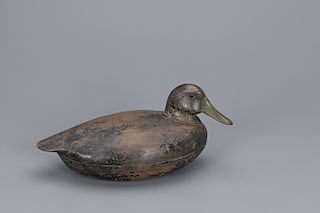 Turned-Head Black Duck Decoy, Cassius Smith (1847-1907)