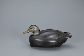Black Duck Decoy, John McLaughlin (1911-1985)