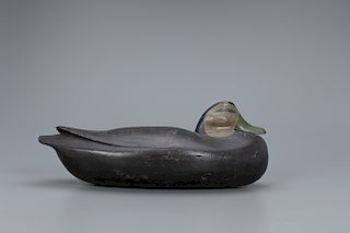 Oversize Tucked-Head Black Duck Decoy, Jess Heisler (1891-1943)