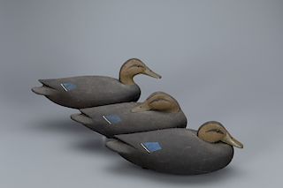 Rig of Three Black Duck Decoys, John McLaughlin (1911-1985)