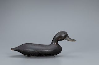 Swimming Black Duck Decoy, John Blair Jr. (1881-1953)