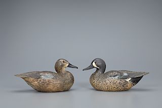 Decorative Blue-Winged Teal Pair, The Ward Brothers