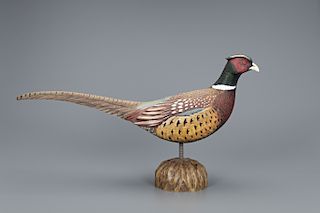 Pheasant, Mike Borrett (b. 1960)