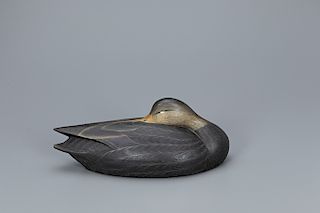 Sleeping Black Duck Decoy, Marty Hanson (b. 1965)