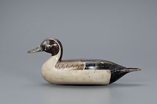 Rare Pintail Drake Decoy, The McKenzie Brothers