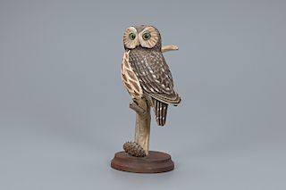 Saw-Whet Owl, Davison B. Hawthorne (1924-2018)