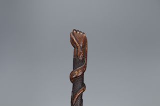 Cane with Hand Holding Snake on Handle