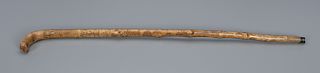 Elaborate Penwork Cane with Fox and Bird Hunting