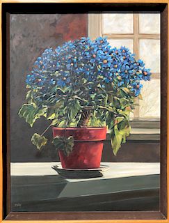 Roy Bailey Oil on Canvas "Potted Cineraria"