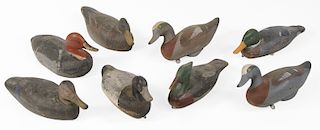 Eight Carved and Painted Duck Decoys