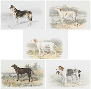 Five Russian Dog Lithographs