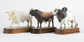 Three Royal Worcester porcelain models of bulls