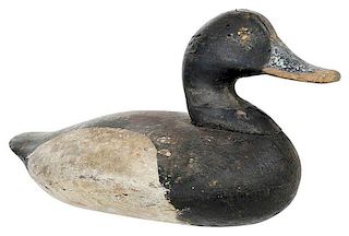 Attributed John Holly Canvasback Decoy