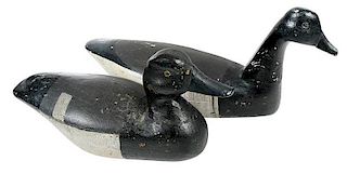 Two New Jersey Decoys