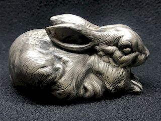 Russian Silver  Rabbit