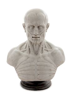 An Italian Marble Anatomical Bust