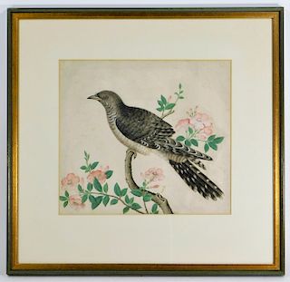 19C English Naturalist Watercolor Painting of Bird