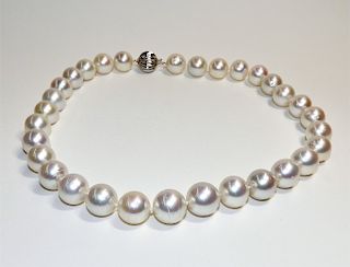 Lady's South Sea White Pearl 14K Gold Necklace