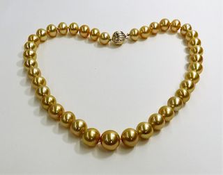 Lady's South Sea Golden Pearl 14K Gold Necklace