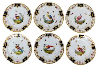 6PC Copeland Spode Exotic Bird & Insect Plates