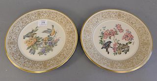 Set of twelve Lenox Boehm bird plates, dia. 10 1/2 in.
