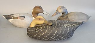 Three labeled duck decoys, one canvasback hen Wildflower Decoy Co. Quogue NY, one Sleeping blackduck by Wildflower Point Pleasant NJ...