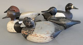 Five duck decoys. lg. 12 in. to 14 1/2 in.
