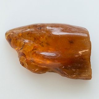 POLISHED COGNAC COPAL AMBER WITH INCLUDED INSECTS