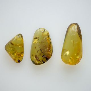 3 SUN SPANGLED FREE FORM POLISHED GREEN AMBER PIECES
