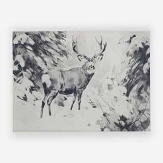Carl Rungius - Mule Deer