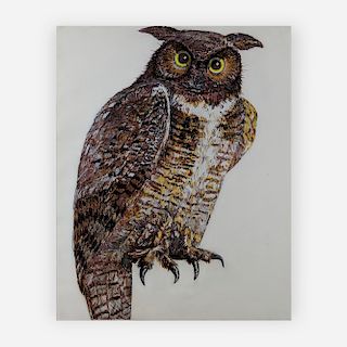 Don Nice  - Owl