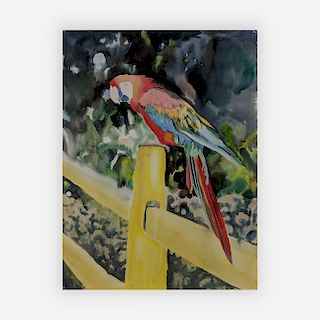 Roger Howrigan - Parrot