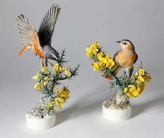 PAIR OF DOROTHY DOUGHTY ROYAL WORCESTER PORCELAIN REDSTART RUTICILLA PHOENICURUS AND GORSE