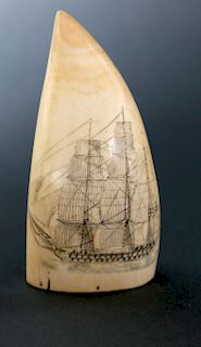 WHALER SCRIMSHAWED AND POLYCHROMED SPERM WHALE TOOTH