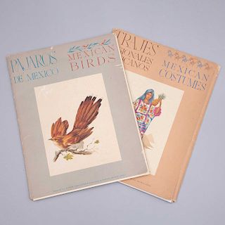 Trajes regionales mexicanos y Pájaros de México con ilustraciones de Rafael Muñoz Lopez. Piezas: 18