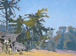 "Cypress Trees" M. Stephen Richards, California